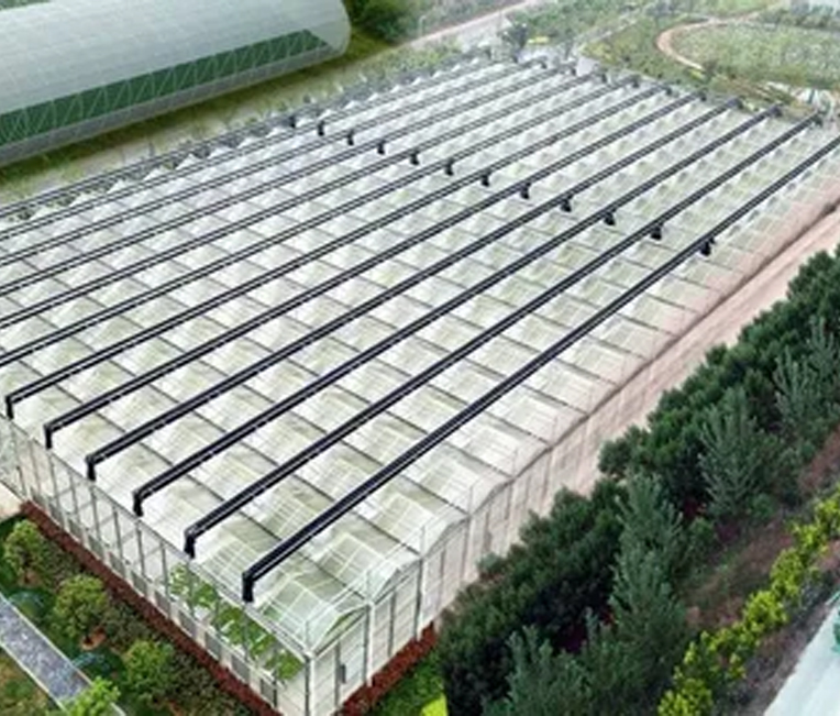 Staalconstructietechniek van het Shanghai Alibaba Digital Agriculture Project